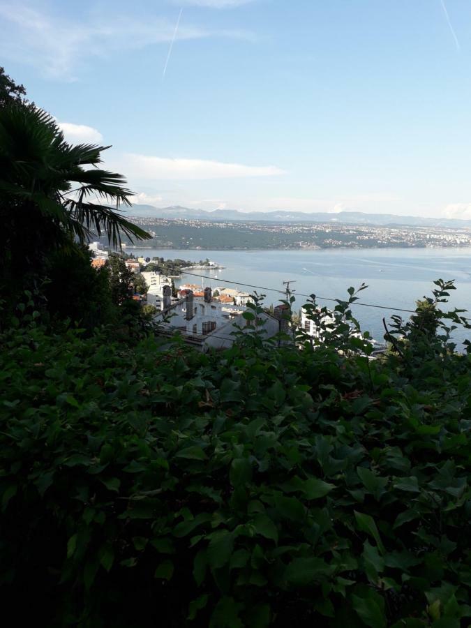 Apartment Ana Opatija Exterior photo